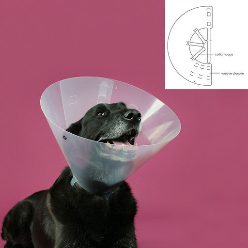 Colar Isabelino para Cães KVP Betsy Transparente (22-26 cm)