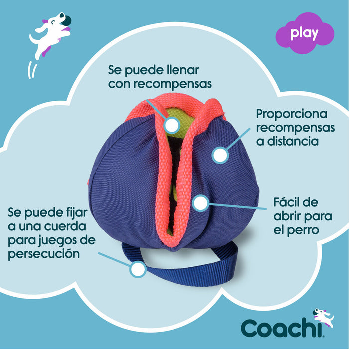 Brinquedo de treino Coachi CHASE & TREAT Azul