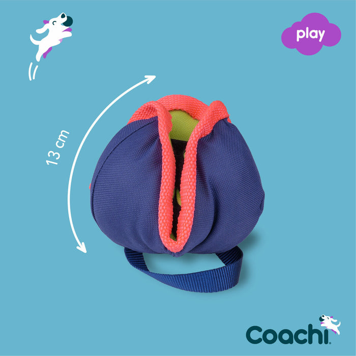 Brinquedo de treino Coachi CHASE & TREAT Azul