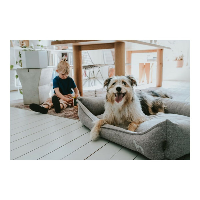 Sofá para Cão Hunter Prag 70 x 50 cm Cinzento
