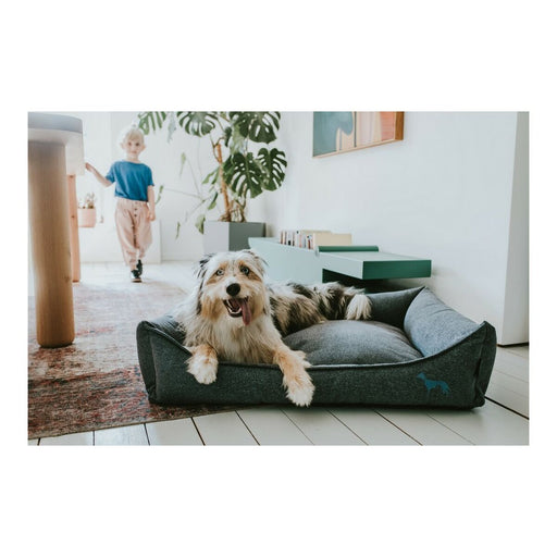 Sofá para Cão Hunter Prag Têxtil Azul (70 x 50 cm)