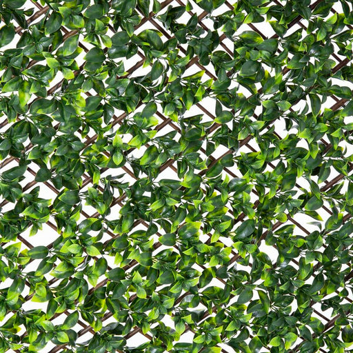 Gelosia Natural Hera vime Bambu 2 x 200 x 100 cm