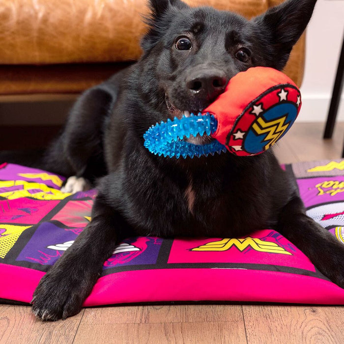 Brinquedo para cães Wonder Woman   Azul 100 % poliéster
