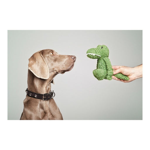 Brinquedo para cães Gloria Pinky Crocodilo Verde