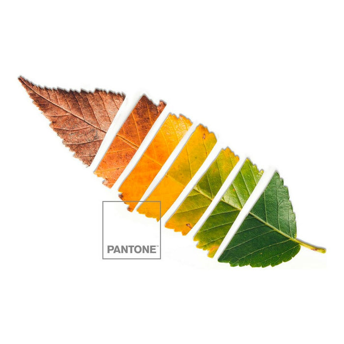 Capa nórdica Leaf Pantone