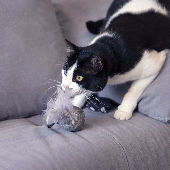 Brinquedo para gatos Star Wars Cinzento PET