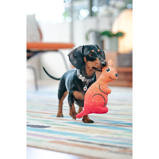 Brinquedo para cães Red Dingo 23,5 cm Canguru Interior/Exterior